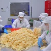 Công nhân sơ chế củ sen tại Nhà máy của Công ty Cổ phần Thực phẩm Sen Đại Việt, huyện Tháp Mười. (Ảnh: Nhựt An/TTXVN)
