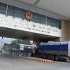 Các phương tiện chở quả vải tươi chờ làm thủ tục xuất khẩu sang Trung Quốc qua Cửa khẩu Quốc tế Đường bộ số II Kim Thành. (Ảnh: Quốc Khánh/TTXVN)