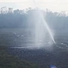 Đám cháy tại Vườn Quốc gia Tràm Chim (Đồng Tháp) đã cơ bản được khống chế. (Ảnh: Nhựt An/TTXVN)