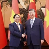 Thủ tướng Phạm Minh Chính hội kiến Tổng Bí thư, Chủ tịch Trung Quốc Tập Cận Bình. (Ảnh: Dương Giang/TTXVN)