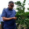 Tiến sỹ Abdul Jalil Kader, Phó Tổng Giám đốc Cơ quan Quản lý Thực phẩm Singapore tham quan vườn trồng chanh không hạt tại huyện Bến Lức, Long An. (Ảnh: Đức Hạnh/TTXVN)