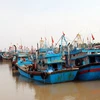 Khu neo đậu tàu thuyền tại cảng Thành Vui (Hải Hậu, Nam Định). (Ảnh: Nguyễn Lành/TTXVN)