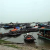 Các tàu, thuyền đánh cá của ngư dân tránh trú bão tại bến Giang, thị xã Quảng Yên, tỉnh Quảng Ninh. (Ảnh: Đức Hiếu/TTXVN)
