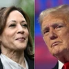 Ứng viên Tổng thống Mỹ của đảng Cộng hòa Donald Trump (phải) và Phó Tổng thống Kamala Harris. (Ảnh: Getty Images/TTXVN)