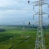 Thi công đường dây 500kV mạch 3. (Ảnh: Việt Hoàng/TTXVN)