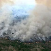 Khói lửa bốc lên từ đám cháy rừng ở Labrea, bang Amazonas, Brazil, ngày 20/8/2024. (Ảnh: Getty Images/TTXVN)