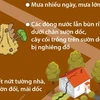 Những dấu hiệu nhận biết nguy cơ sạt lở đất.