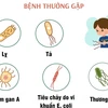 Các bệnh lây truyền qua đường tiêu hóa thường mắc sau bão lụt và mưa lũ.