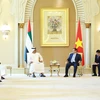 Thủ tướng Phạm Minh Chính tiếp Giám đốc Cơ quan Đầu tư Abu Dhabi (ADIA) Sheikh Hamed bin Zayed Al Nahyan. (Ảnh: Dương Giang/TTXVN)