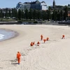 Thu gom những quả cầu đen bí ẩn trôi dạt vào bờ biển ở Sydney, Australia. (Nguồn: Getty Images)