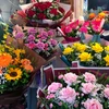 Ghi nhận tại nhiều cửa hàng hoa tươi trên địa bàn thành phố Hà Nội, giá hoa tươi tăng khoảng 10% so với cùng kỳ năm ngoái. (Ảnh: Việt Anh/Vietnam+)