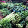 Ghi nhận tại các chợ Hà Nội, giá rau xanh tăng mạnh, đặc biệt là các loại rau cải tăng gấp đôi. (Ảnh: Việt Anh/Vietnam+)