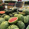 Mặt hàng hoa quả, trái cây tươi đang có mức giá 'mềm' tại các chợ và siêu thị trên địa bàn Hà Nội. (Ảnh: Việt Anh/Vietnam+)