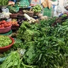 Nguồn cung dồi dào nên rau củ tại các chợ Hà Nội đang có mức giá khá 'mềm.' (Ảnh: Việt Anh/Vietnam+)