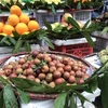 Mặt hàng mận hậu đầu mùa bắt đầu đổ bộ các chợ Hà Nội với mức giá khá cao. (Ảnh: Việt Anh/Vietnam+)