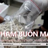 Video đột kích hang ổ sản xuất ma túy từ châu Âu của Trí 'cá voi'