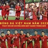 Năm 2023 là một năm nhiều dấu ấn của Bóng đá Việt Nam. (Ảnh: Vietnam+)
