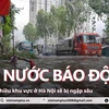 Hà Nội: Mực nước sông Hồng có thể lên mức báo động 2, nhiều khu vực sẽ ngập sâu