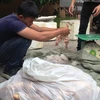 [Video] Tạo khoang bí mật, đưa chim đông lạnh lậu tuồn về Hà Nội