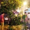 Hà Nội: Xe Prado vượt dải phân cách, húc đổ cây ven đường