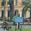 Cây cổ thụ đổ trong khuôn viên trường Chu Văn An (Ảnh: Cộng tác viên D.H) 