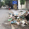 Nhiều tuyến đường trên thị xã Sơn Tây xuất hiện tình trạng rác thải ùn ứ (Ảnh: PV/Vietnam+) 