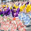 Tái hiện màn múa Yosakoi truyền thống là một phần của Ngày hội Văn hóa Nhật Bản tại Hà Nội (Ảnh: Ban tổ chức cung cấp) 