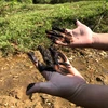 Lớp chất thải có màu đen, bám dính và rất nhớt giống với dầu thải đã từng được phát hiện tại đầu nguồn nước cấp cho Nhà máy nước sạch sông Đà trước đó. (Ảnh: Sơn Bách/Vietnam+)