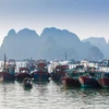 Nằm sau núi Bài Thơ, chợ cá Hạ Long (Quảng Ninh) là một trong những khu kinh doanh hải sản theo dạng bán lẻ thu hút nhiều khách hàng nhất ở thành phố du lịch này. (Ảnh: PV/Vietnam+) 