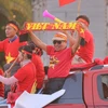 Tự hào chiến tích vàng của bóng đá Việt Nam (Ảnh: Minh Sơn/Vietnam+) 