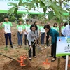 Các đại biểu trồng cây tại khu Di tích lịch sử cấp Quốc gia Nà Tu, tỉnh Bắc Kạn.