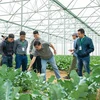 Các hộ nông dân tham quan và học tập tại nông trường VinEco