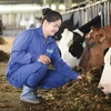 Mộc Châu Milk lựa chọn chiến lược phát triển nông nghiệp bền vững với mô hình liên kết 4 nhà bền chặt