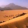 87 người nhập cư bị chết khát trên sa mạc ở Niger