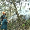 Gần 70.000ha rừng tại Tây Ninh có nguy cơ cháy cao