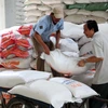 Doanh nghiệp An Giang tìm hiểu thị trường gạo Trung Quốc