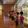 Bảo tàng Thiên nhiên tổ chức trưng bày tiến hóa sinh giới