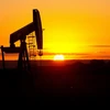 Giá dầu trên thị trường thế giới đã dịu xuống trong tuần qua