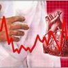 WHO ghi nhận thành tích của các chuyên gia tim mạch Séc