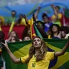 Cảnh sát Brazil bắt giữ 105 kẻ đầu cơ vé World Cup