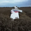 Mốc thời gian quan trọng của chiếc máy bay bị rơi MH17