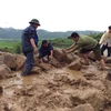 Lũ ống và đá rơi tại Lai Châu làm 3 người chết, 3 người mất tích