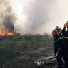 Đà Nẵng: Hai vụ hỏa hoạn gây thiệt hại khoảng 17ha rừng