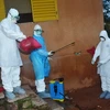 Nhật Bản tìm ra cách xác định virus Ebola trong vòng 30 phút