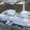 Nhật Bản lùi thời hạn dỡ thanh nhiên liệu ở nhà máy Fukushima 1