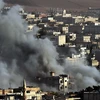 Syria: Các cuộc không kích do Mỹ cầm đầu không làm suy yếu IS