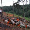 Vụ lâm tặc xẻ thịt rừng: Khu vực bị khai thác trái phép thuộc Gia Lai