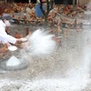 Quảng Ngãi hủy 12.000 con chim cút bị nhiễm cúm A/H5N6