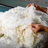 Australia ưu tiên mở rộng thị trường xuất khẩu len sang Việt Nam