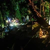 Brazil: Xe buýt lao xuống vực, ít nhất 51 người thiệt mạng